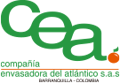 logo_cea_pie