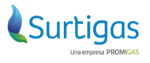 xlogo_color_surtigas-v1-png-pagespeed-ic-4pL2nywg4R